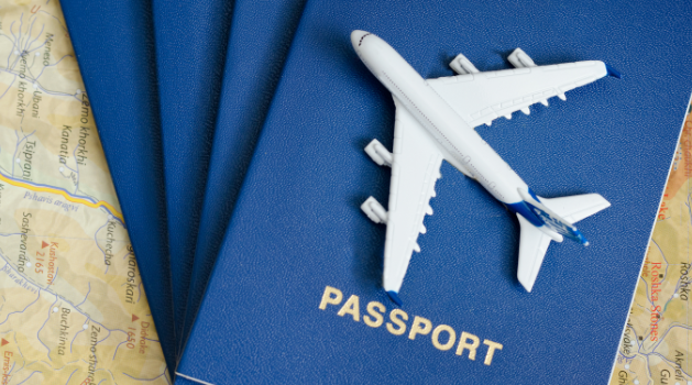 apply for visitor visa